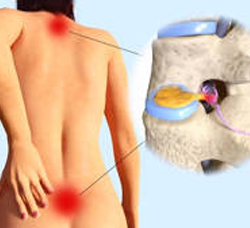 48510818-s.1568573500