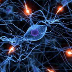 5a766c5d 357b 4631 b517 feac41df175f.1581894969 - Sensibilización central. Por qué te duele la espalda cuando no debería.