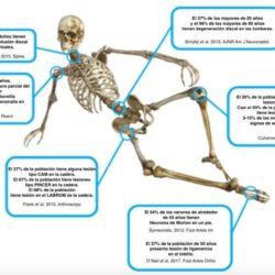 97449264 277743840285680 3711379406246117376 n.1599858807 - De lectura obligatoria antes de visitarnos