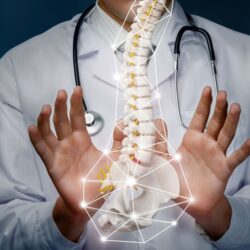 portada partes de la esplada.1612263810 - Conoce que partes tiene tu espalda y porque duelen.